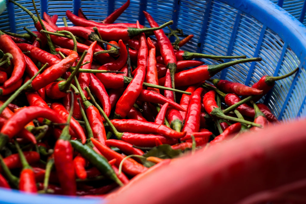 Chilli Market Report